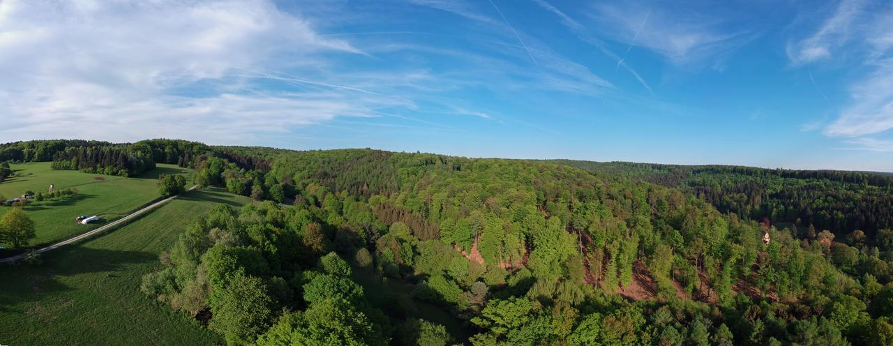 Naturhotel Ruegers Forstgut ميسبلبرن المظهر الخارجي الصورة